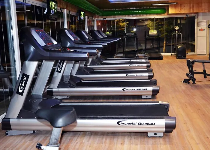 Angelacoma Szálloda Inegol