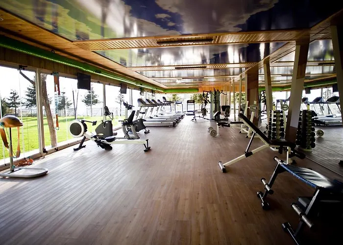 Angelacoma 4* Inegol